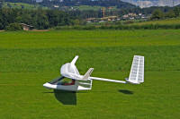 Archaeopteryx beim Anschleppen