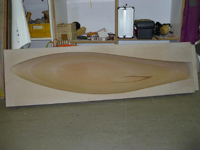 ASH 31, Maßst. 1:2,2; gefräßtes Rumpfvorderteil